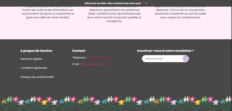 Aperçu du footer du site